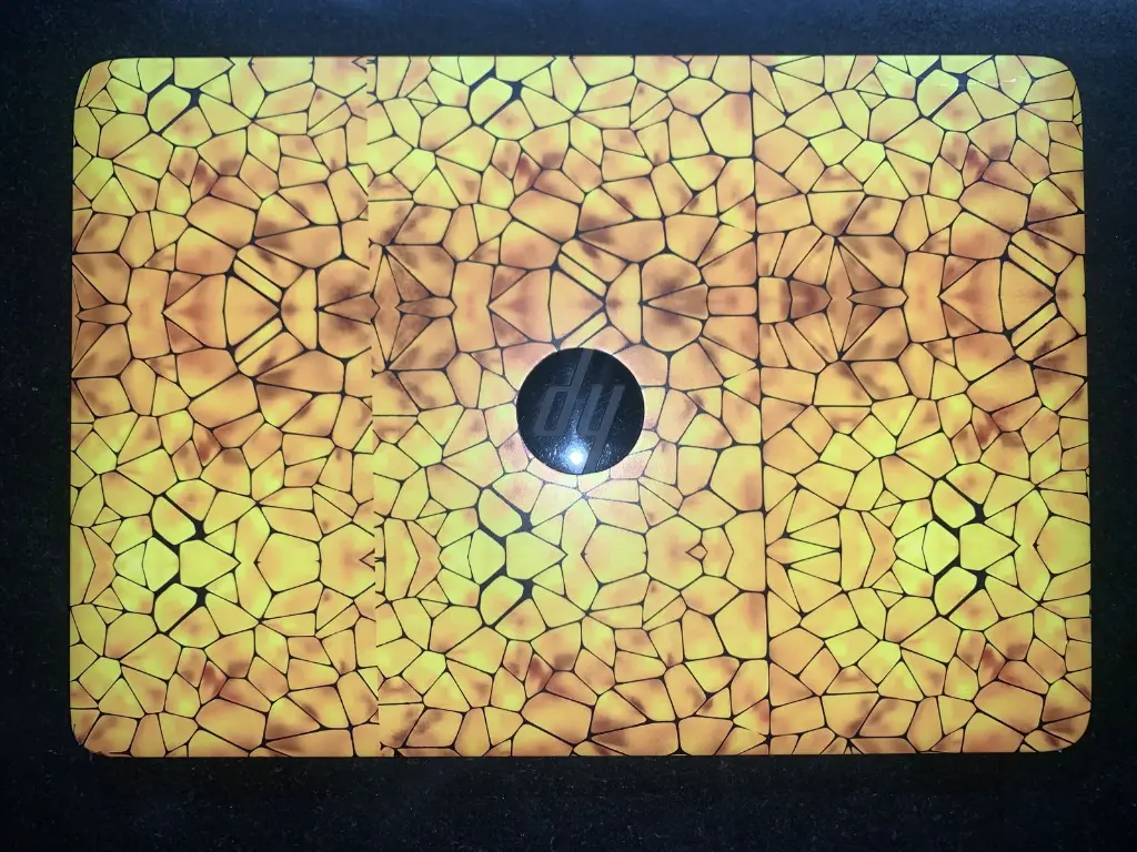 WhatsApp Image 2025-07-03 at 12.28.57 PM (1).webp